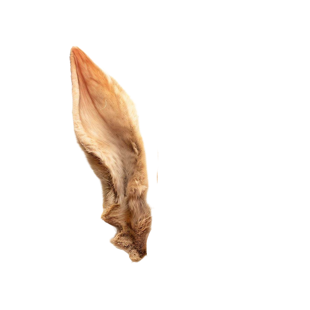 Oreja de conejo deshidratada Natural Bunny